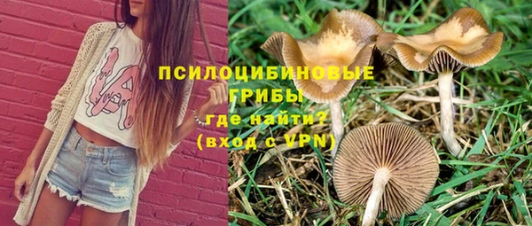 стаф Наволоки