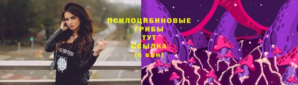 крисы Михайловск
