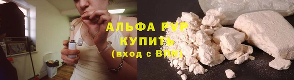 дживик Архангельск