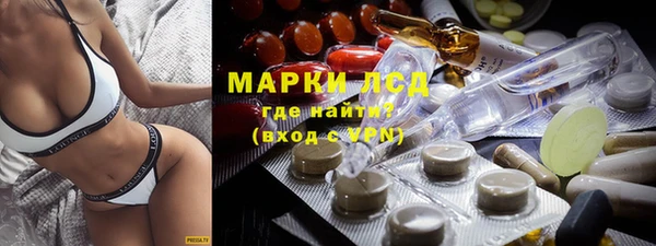 спайс Чита