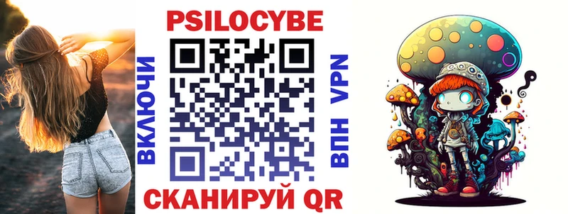 где можно купить наркотик  Венёв  Псилоцибиновые грибы прущие грибы 